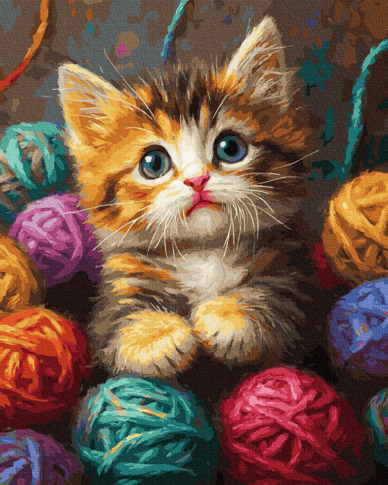 Set pictura pe numere, cu sasiu, Rai pufos, 40x50 cm [1]