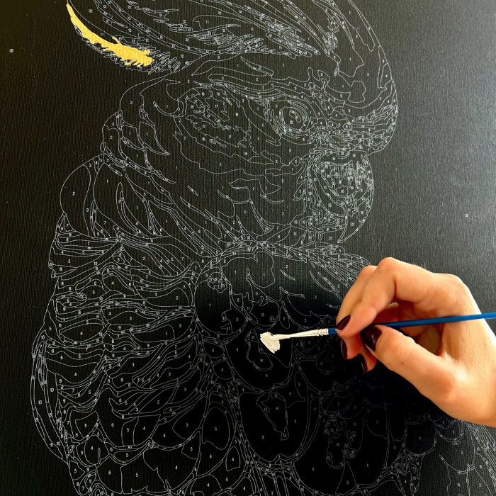 Set pictura pe numere, cu sasiu, Papagal alb auriu - canvas negru, 40x50 cm [6]