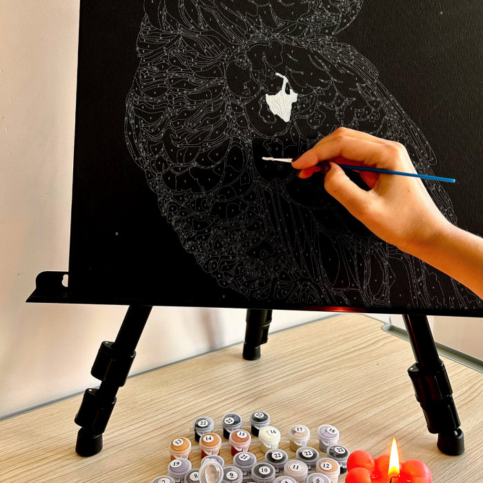 Set pictura pe numere, cu sasiu, Papagal alb auriu - canvas negru, 40x50 cm [8]