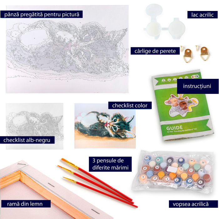 Pictura pe numere, cu sasiu, Cute kitten, 40x50 cm [4]