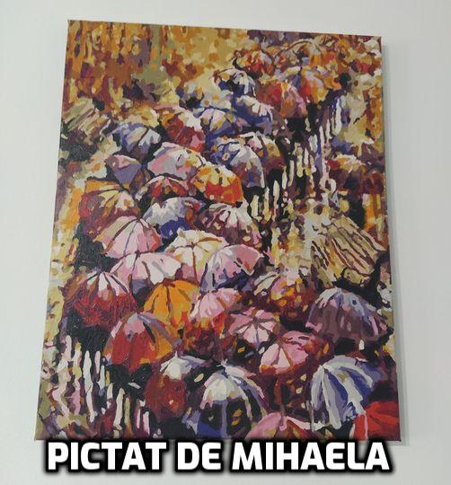 Set pictura pe numere, cu sasiu, Peisaj de Toamna [3]