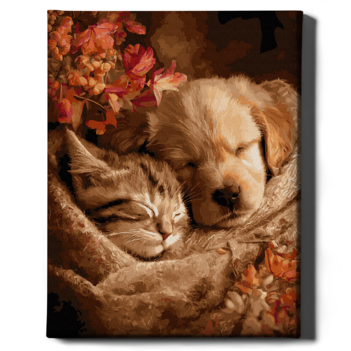 Set pictura pe numere, cu sasiu, Pisoi si catelus, 40x50 cm [2]