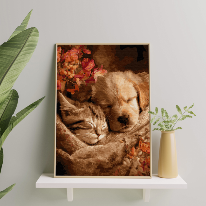 Set pictura pe numere, cu sasiu, Pisoi si catelus, 40x50 cm [3]