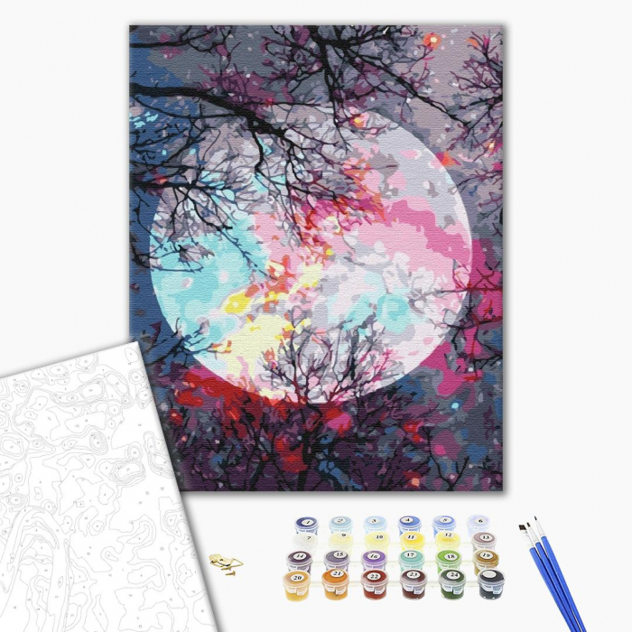 Set pictura pe numere, cu sasiu, Privind la luna, 40x50 cm [2]