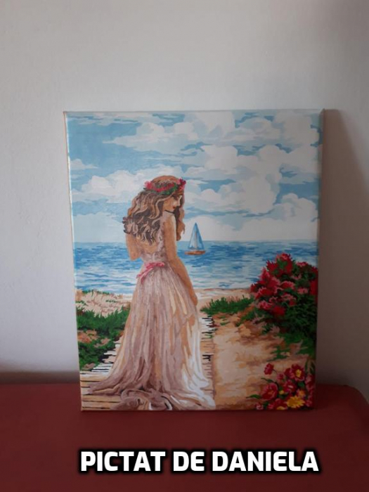 Set pictura pe numere, cu sasiu, Rataciri Indepartate 40x50 cm [4]