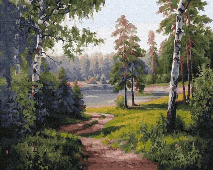 Set pictura pe numere, cu sasiu, Carare in padure, 40x50 cm [1]