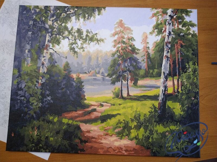 Set pictura pe numere, cu sasiu, Carare in padure, 40x50 cm [2]