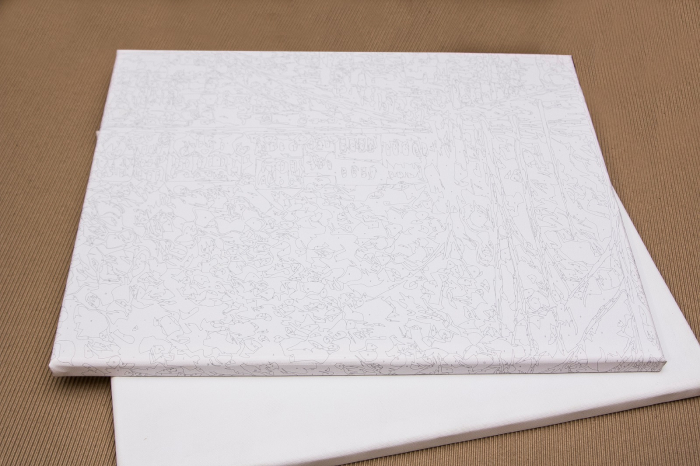 Set pictura pe numere, cu sasiu, Sakura, 40x50 cm [4]