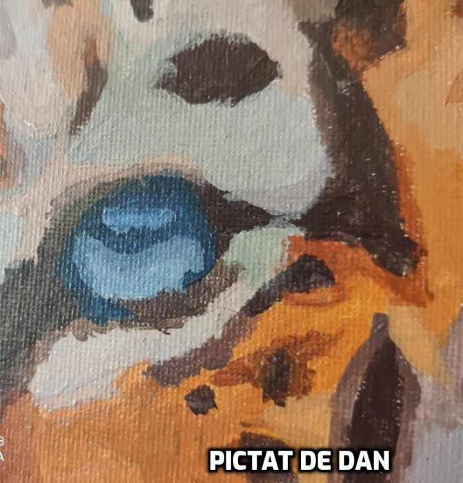 Set pictura pe numere, cu sasiu, Tigru [3]