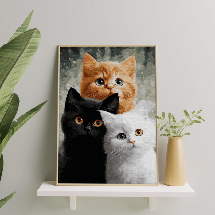 Set pictura pe numere, cu sasiu, Trio blanos, 40x50 cm [3]