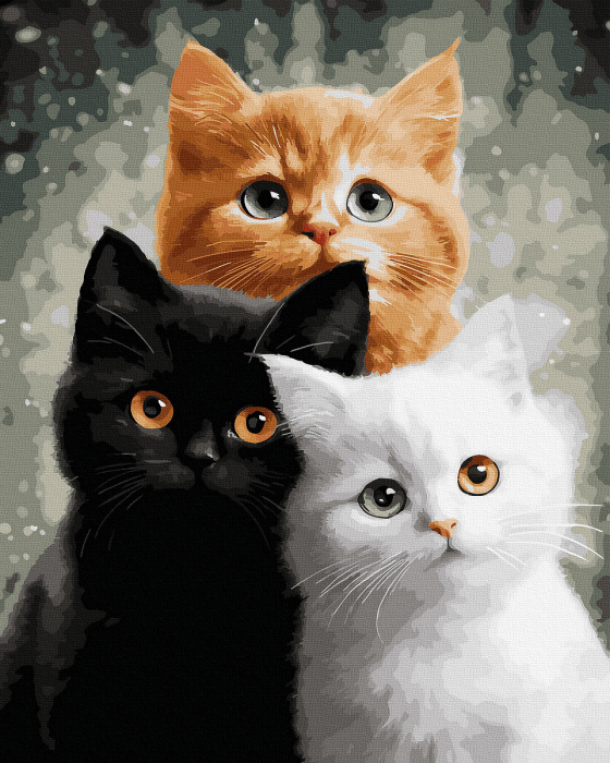 Set pictura pe numere, cu sasiu, Trio blanos, 40x50 cm [1]