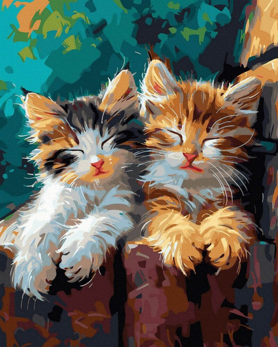 Set pictura pe numere, cu sasiu, Siesta, 40x50 cm [1]