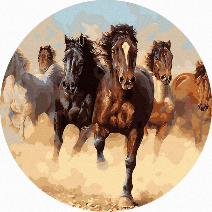 Set pictura pe numere rotunda, cu sasiu, Galop, Ø40cm [1]