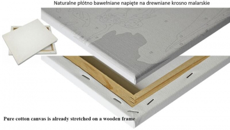 Set pictura pe numere, cu sasiu, Frumoasa Yara, 40x50 cm [6]