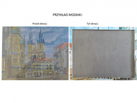 Goblen cu diamante, cu sasiu, Irisi - Van Gogh, 40x50 cm [1]