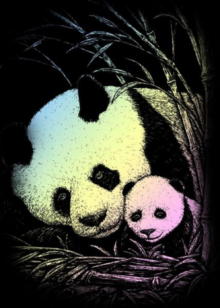 Set gravura holografica, Panda, A5 [0]