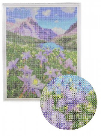 Set goblen cu diamante, cu sasiu, Pajiste inflorita, 40x50 cm [1]