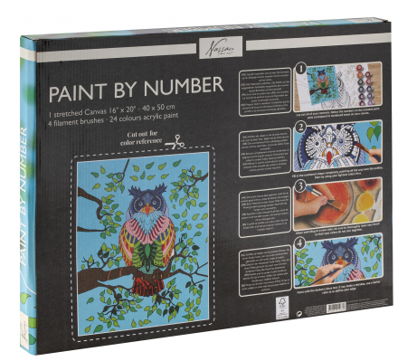 Set pictura pe numere, cu sasiu, Bufnita, 40x50 cm [3]