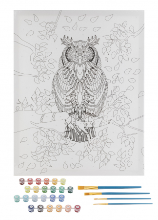 Set pictura pe numere, cu sasiu, Bufnita, 40x50 cm [1]