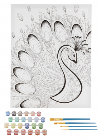 Set pictura pe numere, cu sasiu, Paun, 40x50 cm [1]