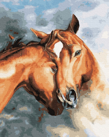 Set pictura pe numere, cu sasiu, Tandrete, 40x50 cm [0]