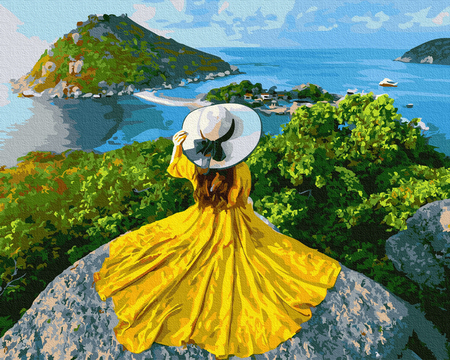 Set pictura pe numere, cu sasiu, Fata-soarelui, 40x50 cm [0]