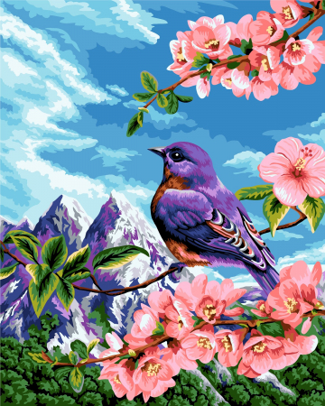 Set pictura pe numere, cu sasiu, Prospetime, 40x50 cm [0]