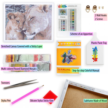 Set goblen cu diamante, cu sasiu, Dragoste de leoaica, 40x50 cm [1]