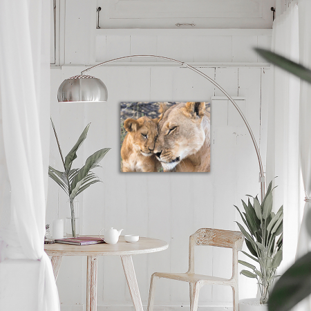 Set goblen cu diamante, cu sasiu, Dragoste de leoaica, 40x50 cm [3]