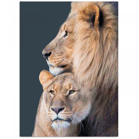 Set goblen cu diamante, cu sasiu, Familie de lei, 40x50 cm [0]