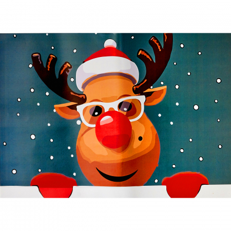 Set pictura pe numere, cu sasiu, Rudolph, 20x30 cm [0]