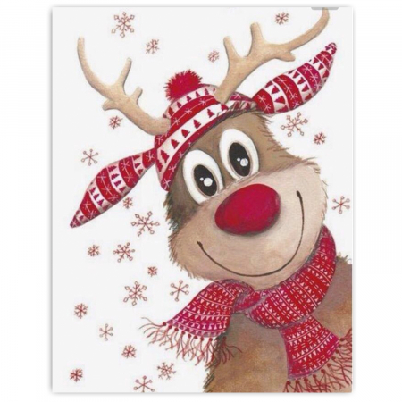 Set pictura pe numere, cu sasiu, Ren vesel, 20x30 cm [0]