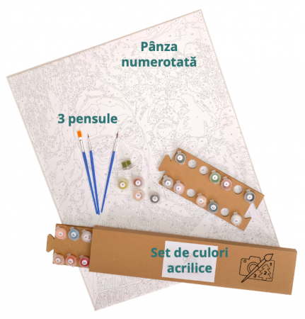 Set pictura pe numere, cu sasiu, Buchet de trandafiri roz pastelat, 40x50 [2]