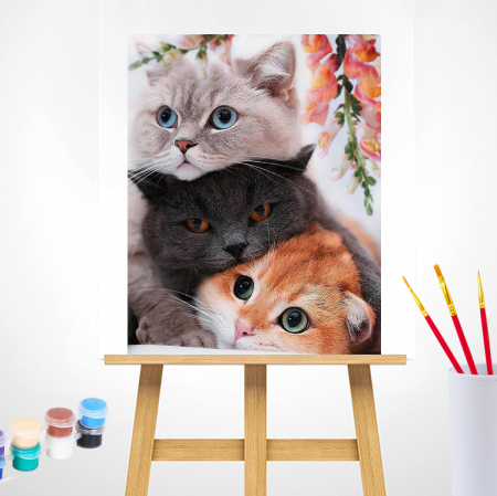 Set pictura pe numere, cu sasiu, 3 pisoi, 40x50 cm [1]