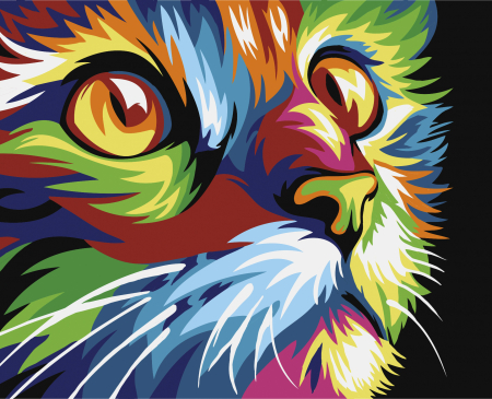 Set pictura pe numere, cu sasiu, Pisica curcubeu, 16.5x13 cm [0]