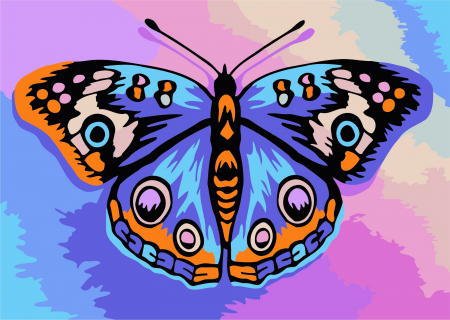 Set pictura pe numere, cu sasiu, Fluture, 16.5x13 cm [0]