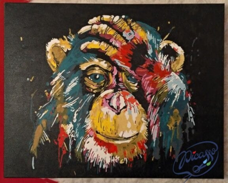 Set pictura pe numere, cu sasiu, Dego, 40x50 cm [3]