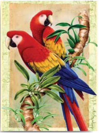 Set pictura pe numere, fara sasiu, Papagali, 22x30 cm [0]