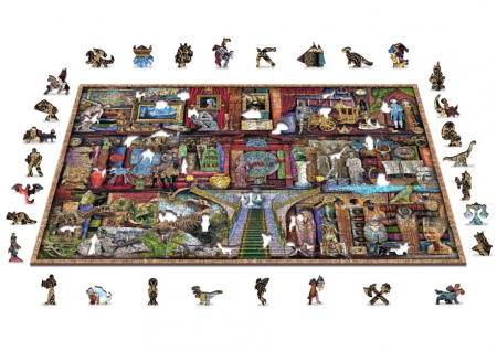 Puzzle 2D, din lemn, Rafturi de muzeu, 1010 piese [2]