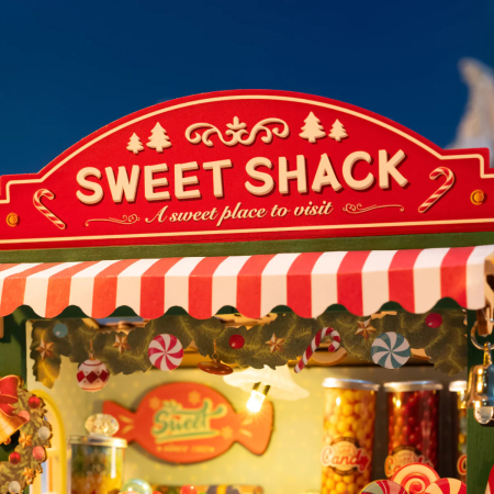 Puzzle 3D, Casuta DIY, Casuta cu bomboane de Craciun, 170 piese [11]