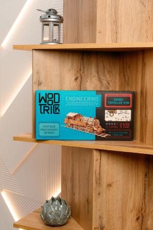 Puzzle 3D, mecanic, din lemn, Marele calator 246, 410 piese [6]