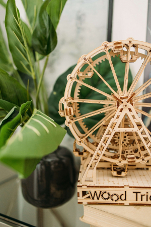 Puzzle 3D Mecanic, Ferris Wheel, 301 piese [6]