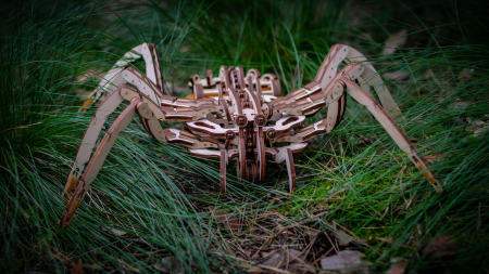 Puzzle 3D Mecanic, Paianjen [8]