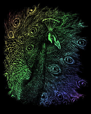 Set gravura folie curcubeu, Paun, A4 [0]