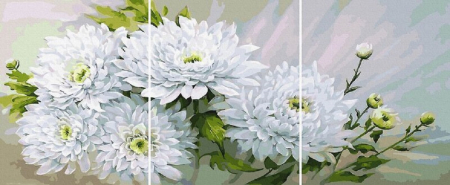 Picturi pe numere - Set 3 picturi pe numere, cu sasiu, Crizanteme albe, 50x120 cm