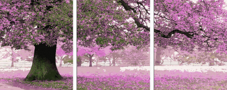 Set 3 picturi pe numere, cu sasiu, Noiembrie cald, 50x120 cm