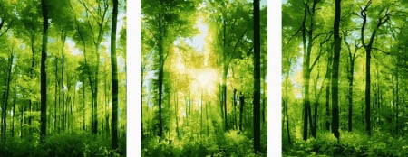 Set 3 picturi pe numere, cu sasiu, Raze de soare, 50 x 120 cm