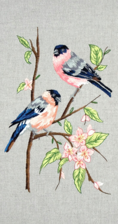 Set broderie, Pasari [0]