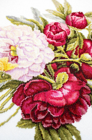 Set de brodat in cruciulita, Buchet de bujori, 20x26.5 cm [7]