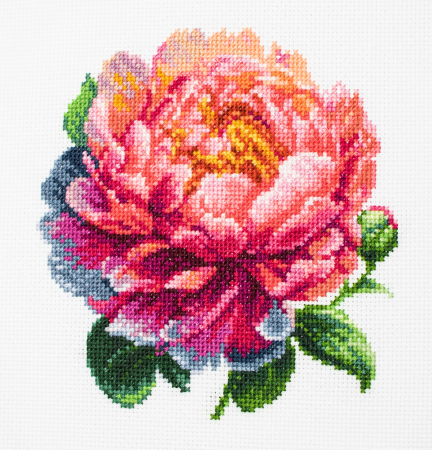 Set de brodat in cruciulita cu gherghef, Bujor Coral Charm, 12x12 cm [1]